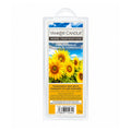 Yankee Candle Wax Melts 75g - Sunflower Fields