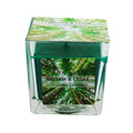 Scented Candle 7oz - Balsam & Cedar