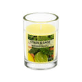 Scented Candle 3oz - Citrus & Sage