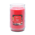 Mainstays Candle 20oz - Orchard Picnic