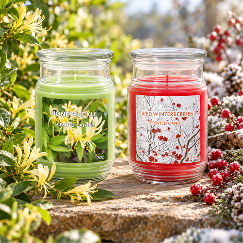 Candle Jar 17oz/482g - Iced Winterberries (Case of 4)