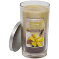 True Living 17oz Jar - Tahitian Vanilla, Sugar & Coconut Vanilla