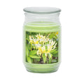 Candle Jar 17oz - Honeysuckle