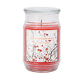 Candle Jar 17oz - Iced Winterberries