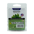 Luxury Wax Melt Tray 34.5g - Spearmint