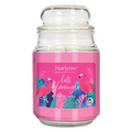 Starlytes 18oz Jar - Let's Flamingle