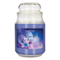Starlytes 18oz Jar - Moonlit Skies